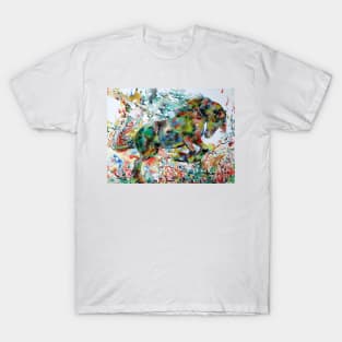 WATERCOLOR HORSE .1 T-Shirt